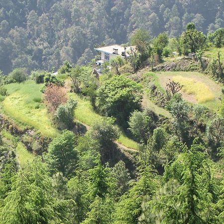 Shimla Nature Ville Exteriér fotografie
