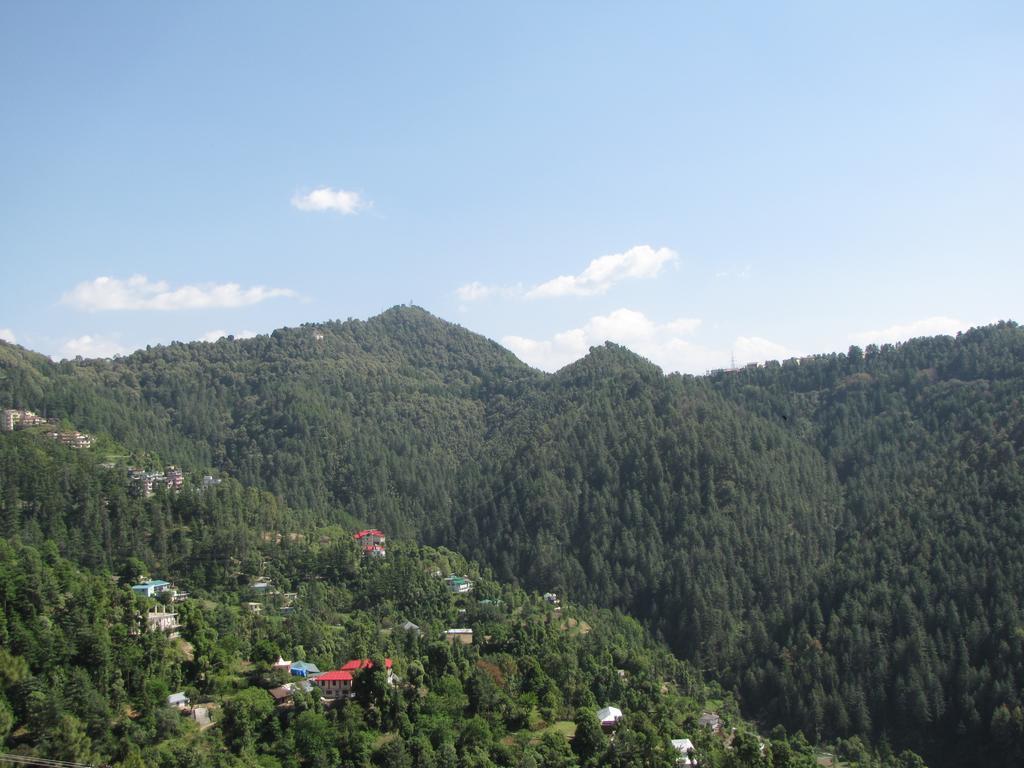 Shimla Nature Ville Exteriér fotografie